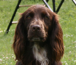 bella