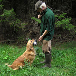 fanta apporterar duva