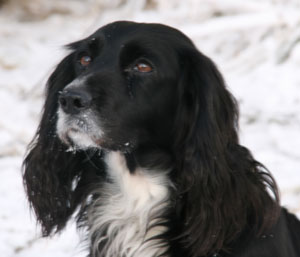 millie